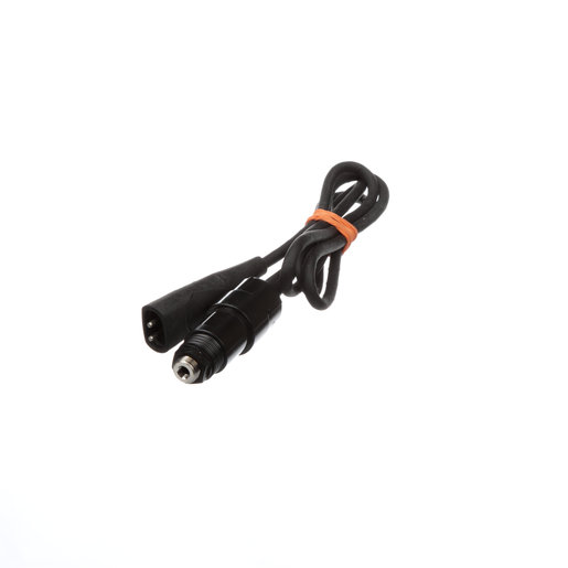 Lamp Holder and Cord Assembly Lamp Holder and Cord Assembly