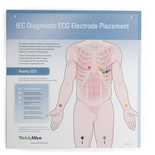 Electrocardiograph Educational Wall Chart