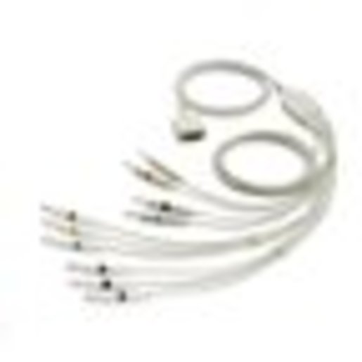 CP50 and/or CP150 10-Lead,AHA,Banana (1.5M/59 inches) ECG Cable